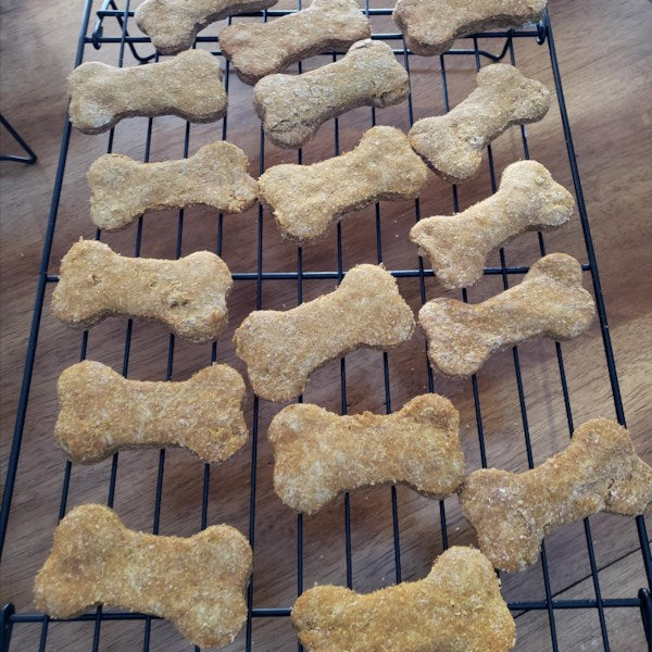 International Dog Biscuit Appreciation Day- February 23rd
