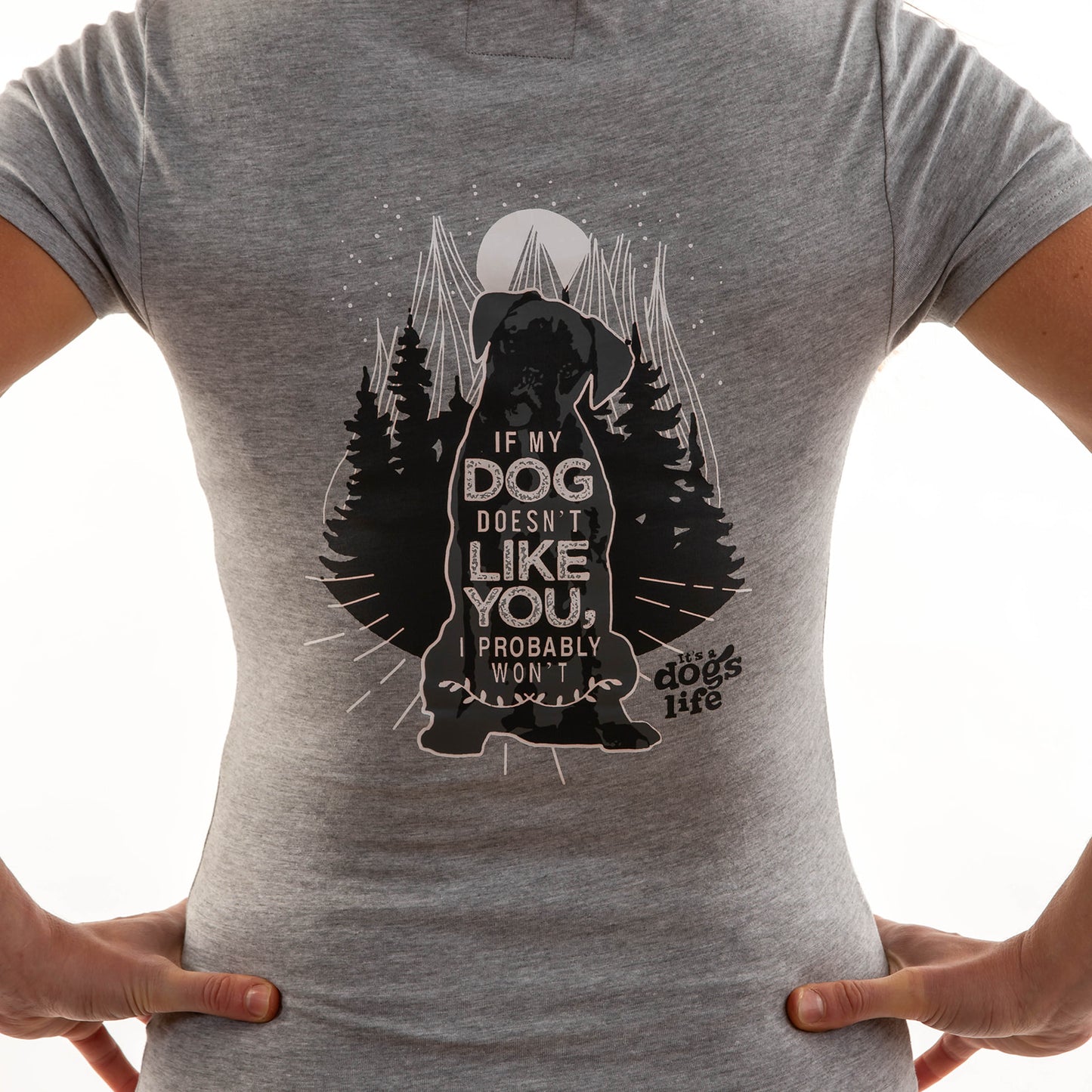 If my Dog doesn't like you Ladies T-Shirt