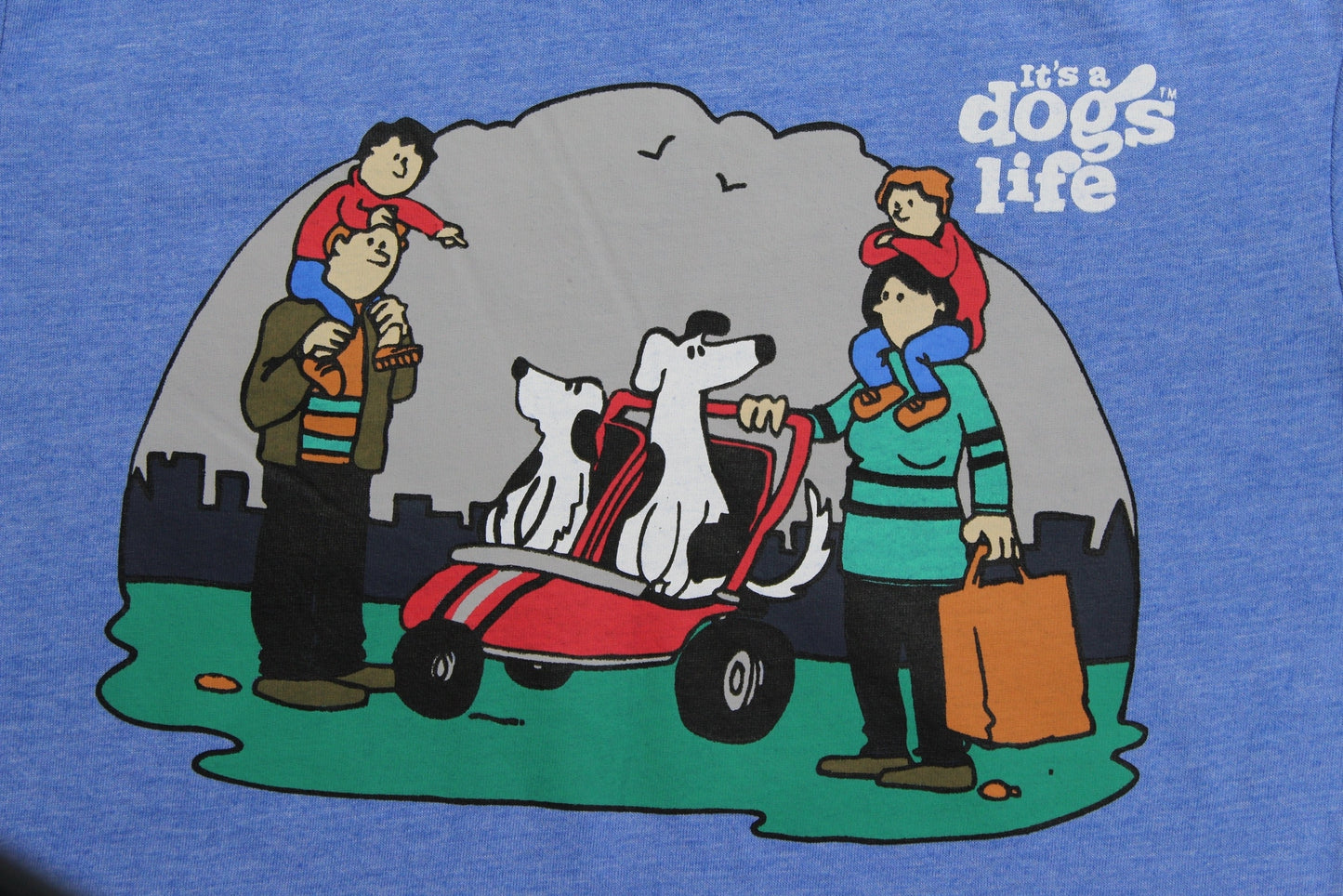 Pushchair Ladies T'shirt