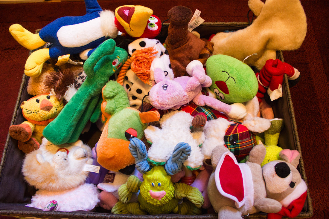 Choosing Safe & Quality Dog Toys