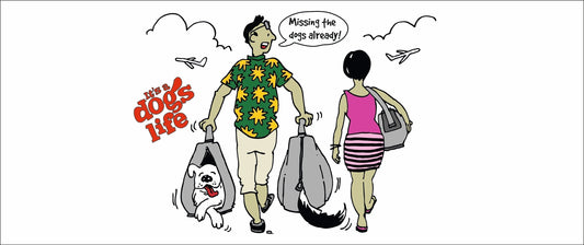 How to Have a Stress-Free Holiday with Your Dog: 10 Essential Tips for Travelling Together