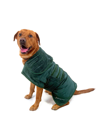 Dog Robe Green Medium