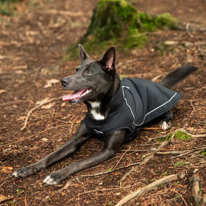 Fleece Lined Dog Coat