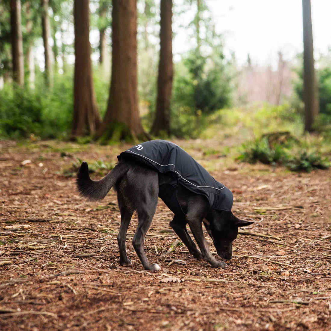 Fleece Lined Dog Coat