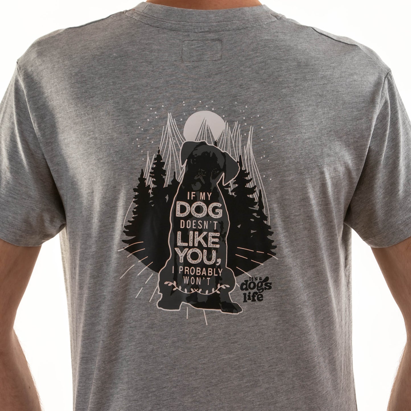 If my Dog doesn't like you T-Shirt